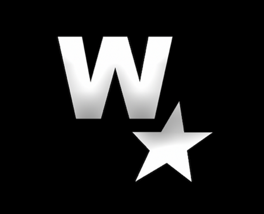 WeAreInTheMovie Logo Side Window Decal (Pack of 2)